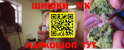 прущие грибы Заводоуковск