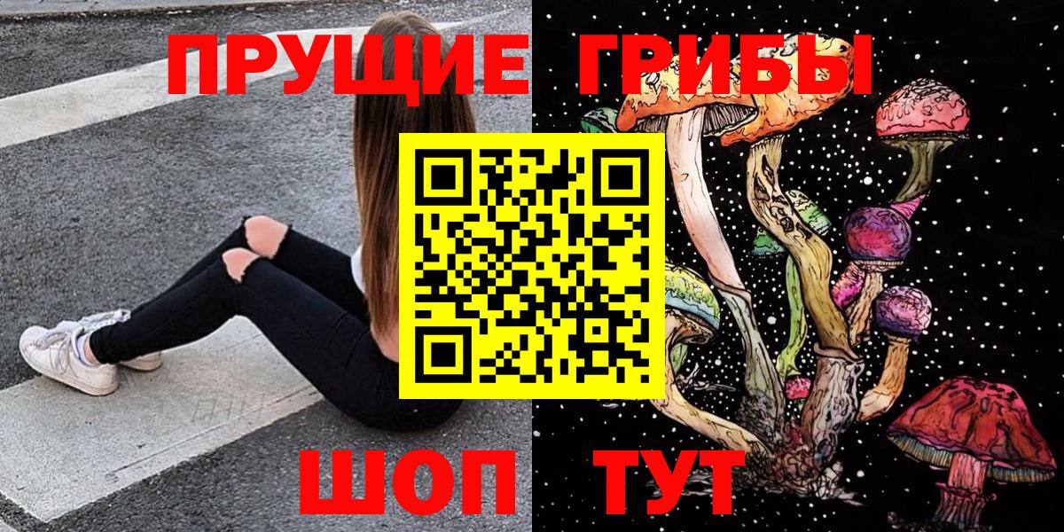 Псилоцибиновые грибы Psilocybe Ленинск-Кузнецкий